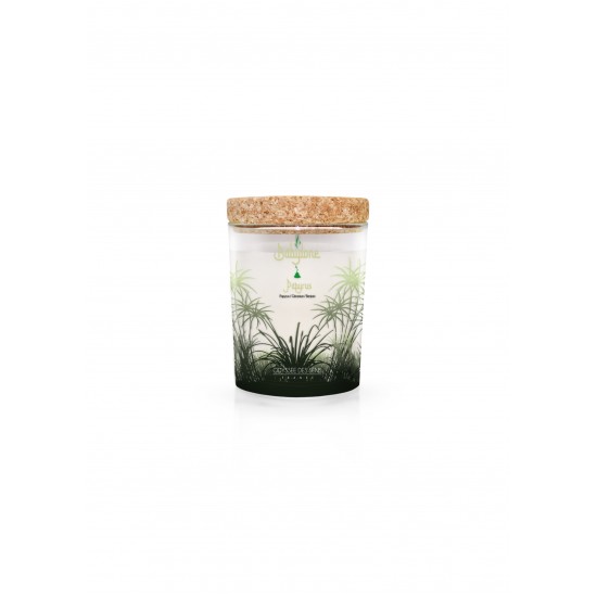 Bougie Babylone Papyrus 180g