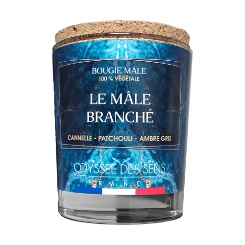 Bougie Le Mâle Branché 220g